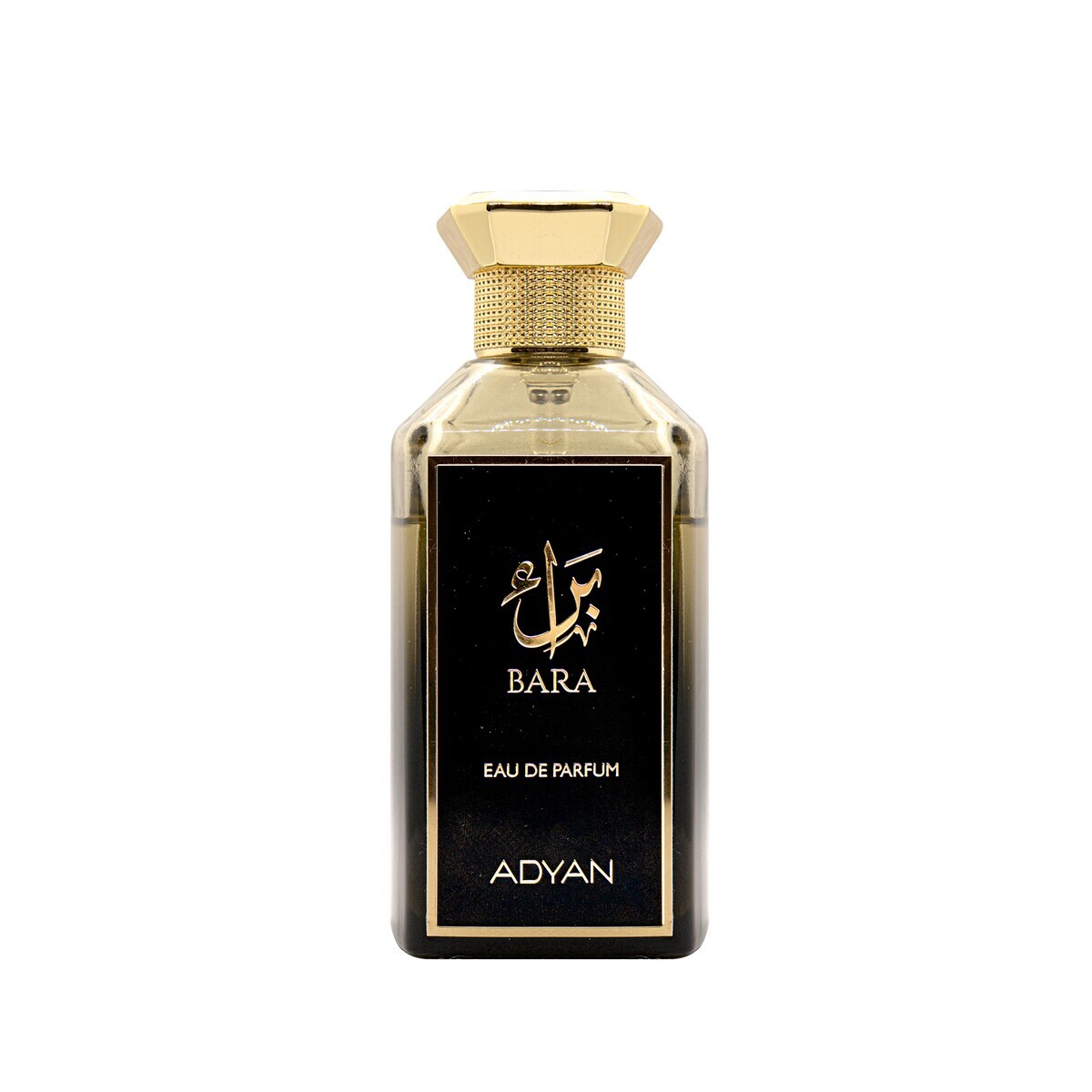 ADYAN BARA EDP