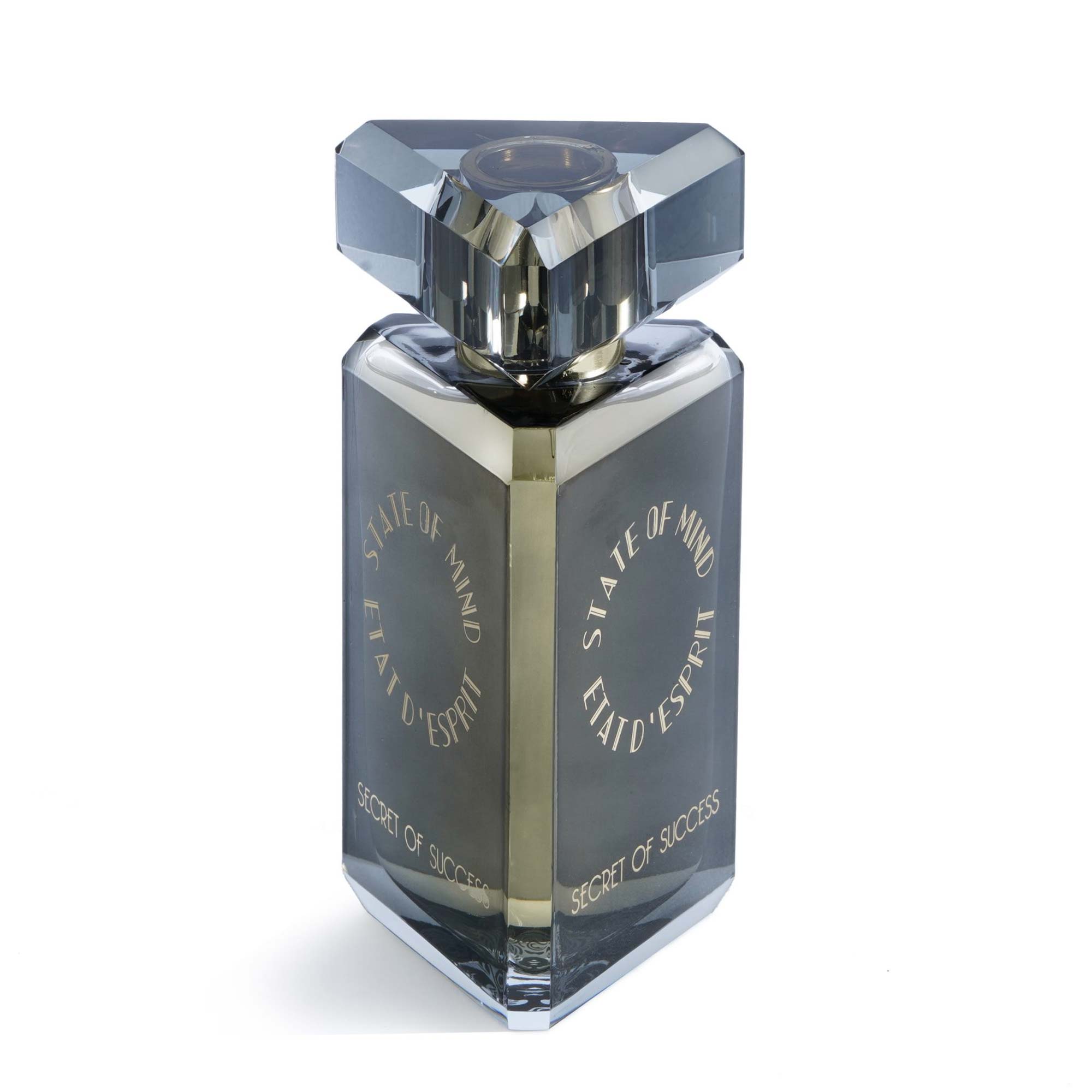 SOM SECRET OF SUCCESS EDP